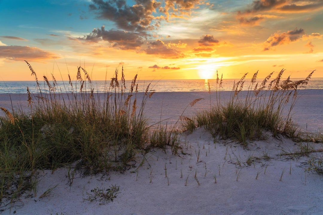 St. Joe Beach, FL Beachfront Homes For Sale Port Realty Group